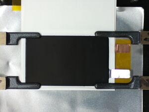 220111-madlu-1406-f.jpeg